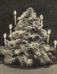 Tannenbaum