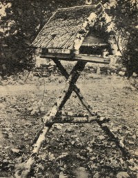 Die Vogelfütterung im Winter