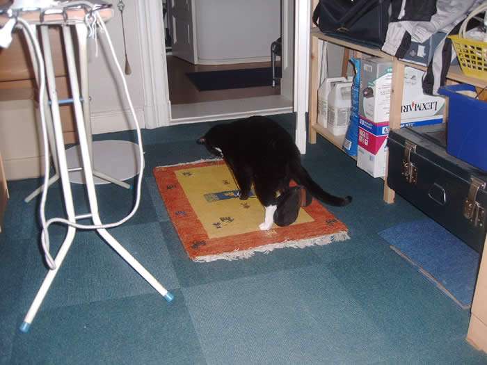 Hier in fast 2 meter Höhe kann ich sogar aus dem Fenster schauen