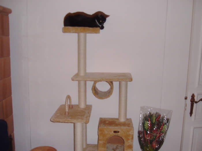 Und einen Blumenstrauß habe ich auch bekommen