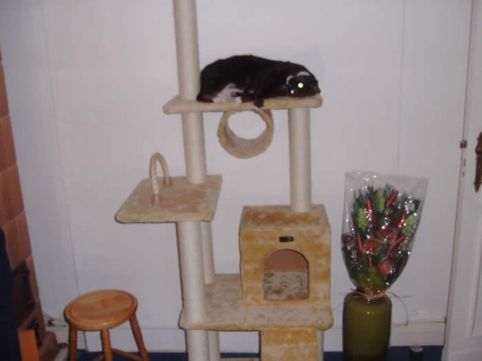 Ist das hier oben kuschlig !!!