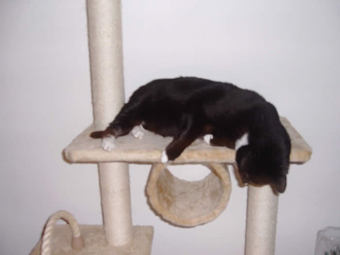 Was soll ich bloß mit der blöden Röhre anfangen ??