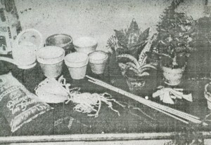 Beste Zeit zum Umtopfen