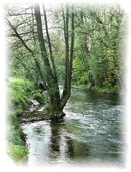 Die Lauter hinter dem Dornwald
