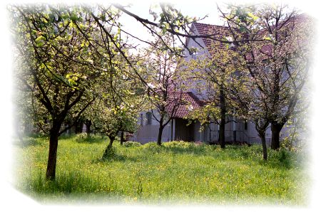 Linkstrasse R�ckseite