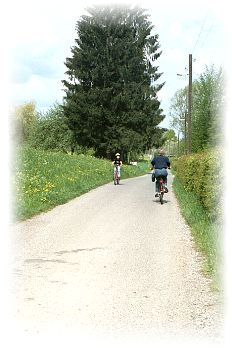 Radweg nach Wendlingen
