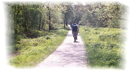 Radweg von Bodelshofen